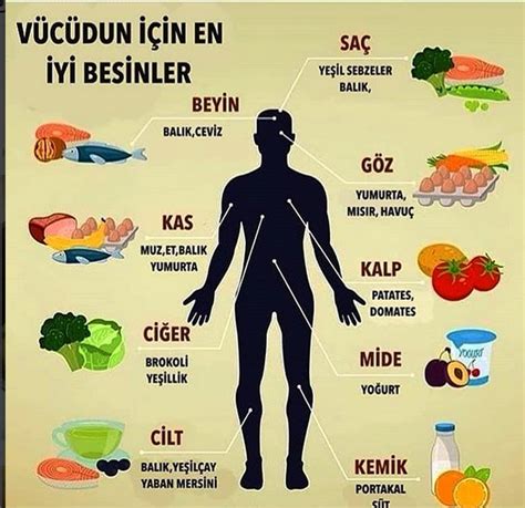 Beden Sağlığınıza İyi Gelen Mevsimlik Besinler